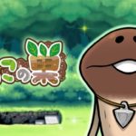 なめこの巣のお手伝いなめこ・枯れなめこの効果とは?