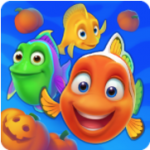 フィッシュダムの水槽のデザイン・引き継ぎ方法について。