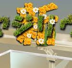 新オヤジリウムの幸福度・健康度・疲労回復について