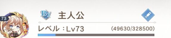 オリエントアルカディア　主人公レベル