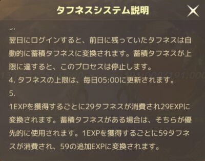 ドラゴンネスト２エボリューション　タフネスとは